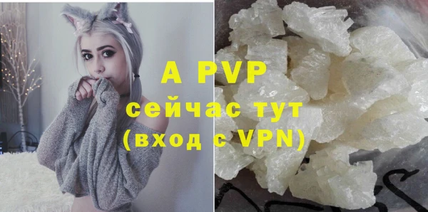 МДПВ Богородск