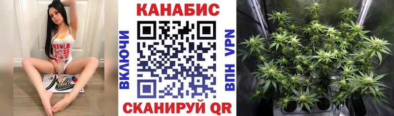 купить наркотики сайты Новосокольники Бошки марихуана White Widow